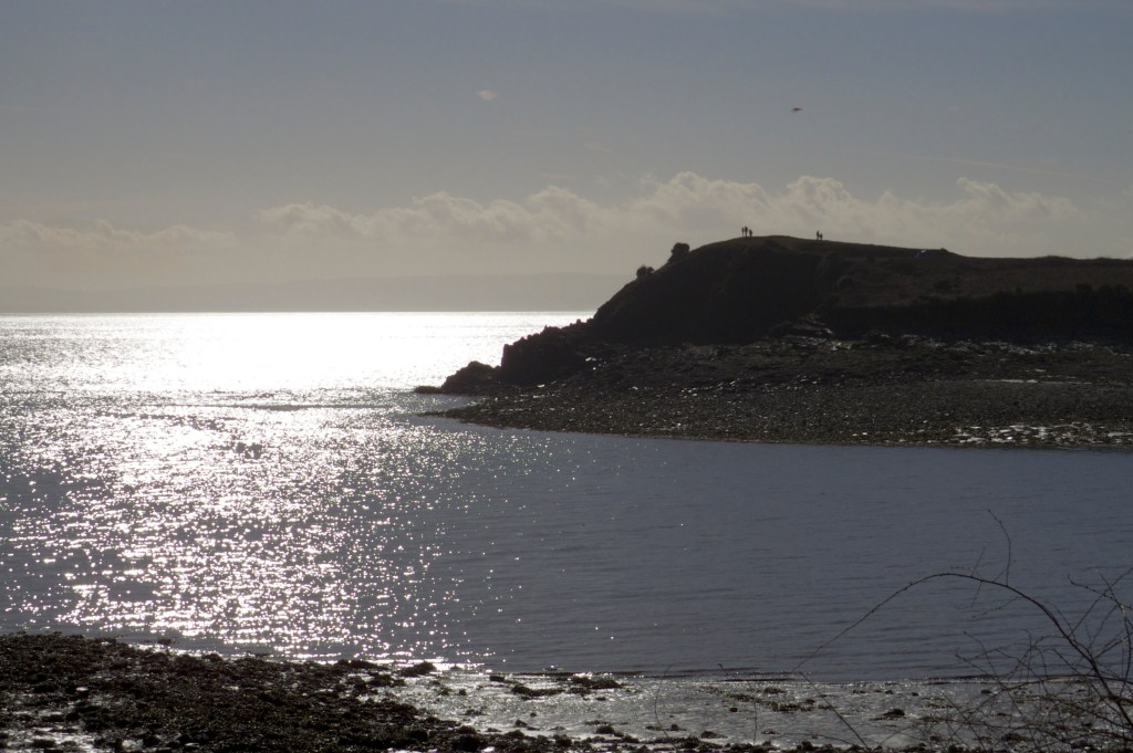 Eastern side of Sully Island