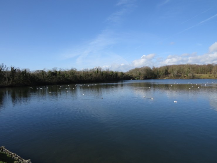 Cosmeston Lakes