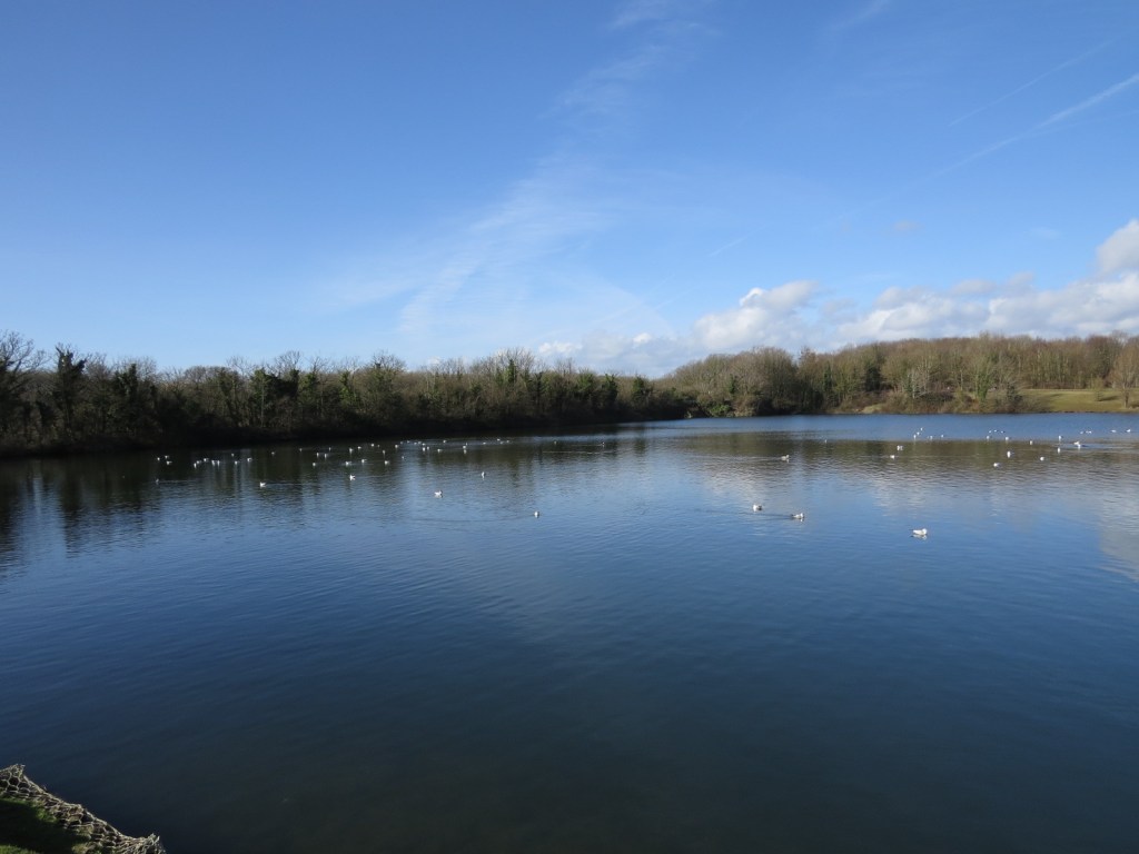 Cosmeston Lakes