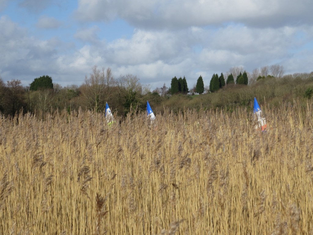 Boats on Cosmeston Lakes