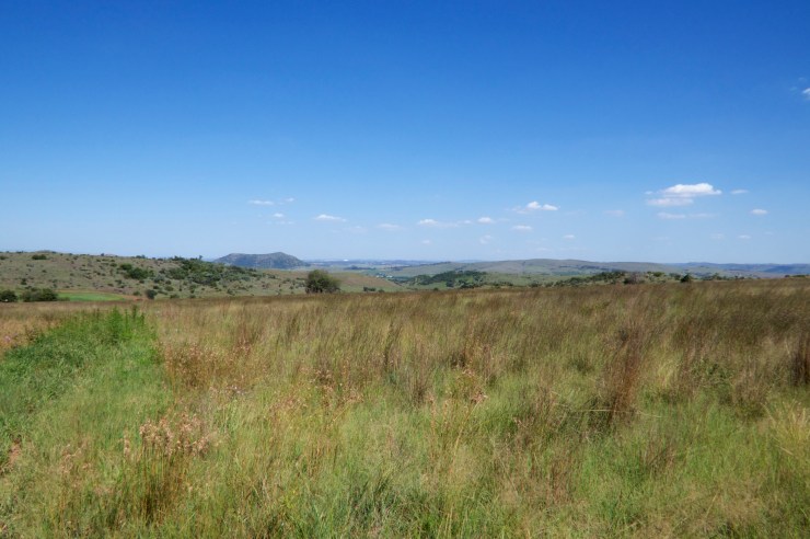 Johannesburg from the Lion and Rhino Park