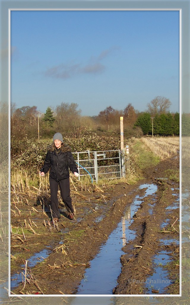 Do I really have to walk through all this mud?