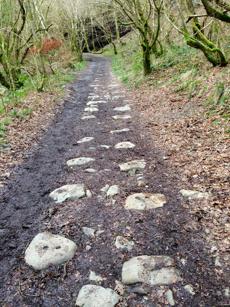 Stone sleepers from the old silica mine tramway