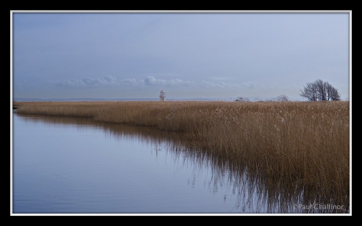 East Usk Lighthouse appearing above the reed beds. Its possible to stand next to the lighthouse.