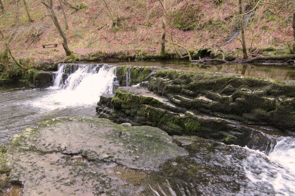 Afon Pyrddin leading up to Sgwd Gwladys