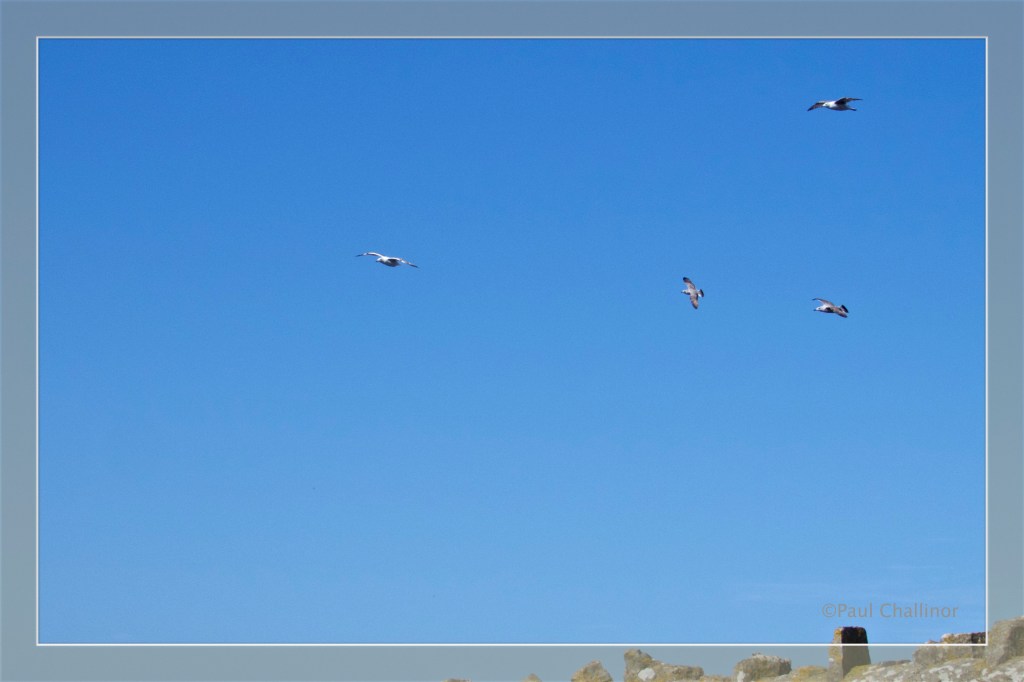 Cwm Nash - Cwm Mawr 2014-04-13 20