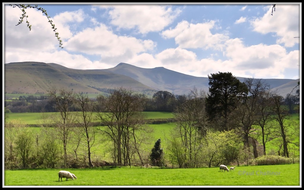 Looking down into Cwm Llwch and Cwm Cynwyn