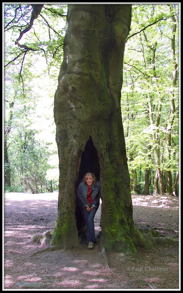 No quite Robin Hood, but good enough!