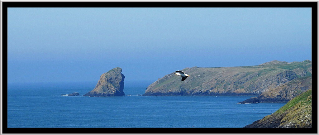 Skomer Island
