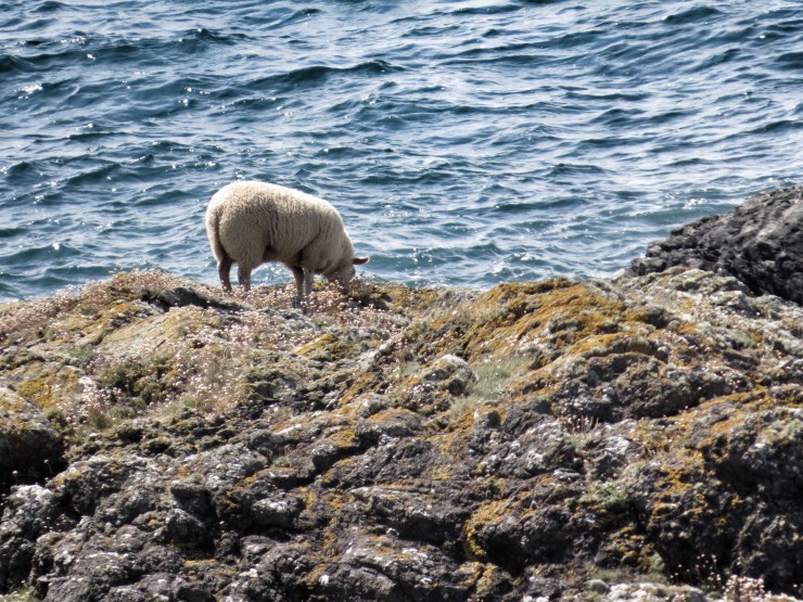 Feeding on the edge.