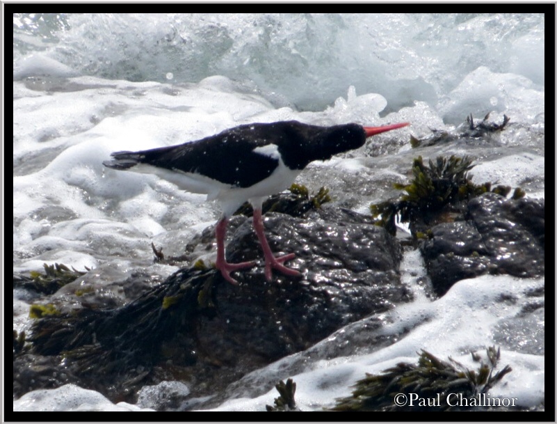 Perhaps I was a little too close to the edge!