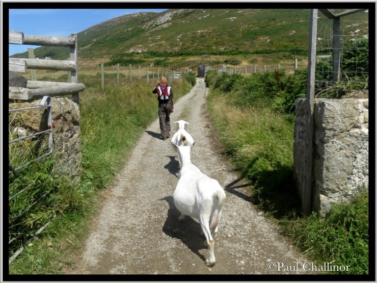 Aunty practising on being a nanny!