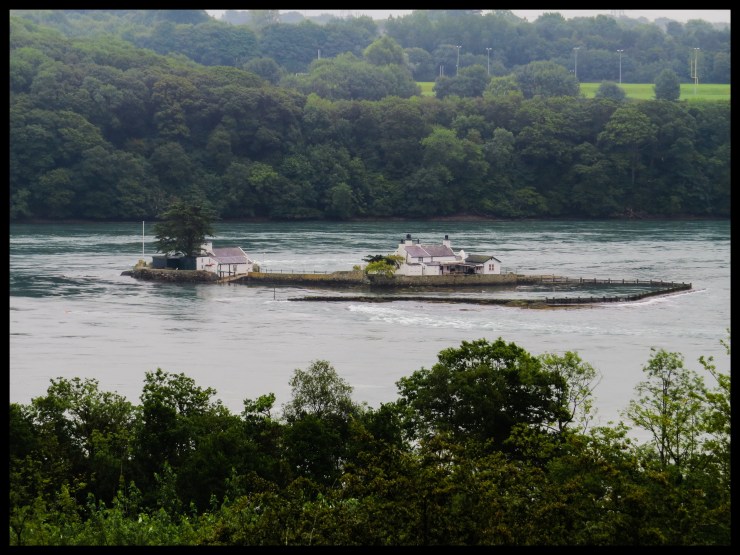 I wonder if they can get flood insurance.