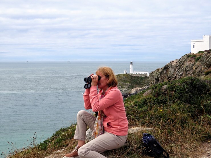 Concentrated bird watching.