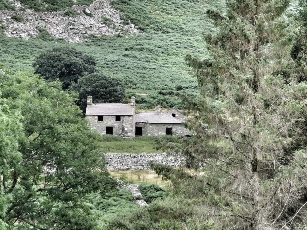 One of the old farms, maybe this is Ty Canol (Middle House).