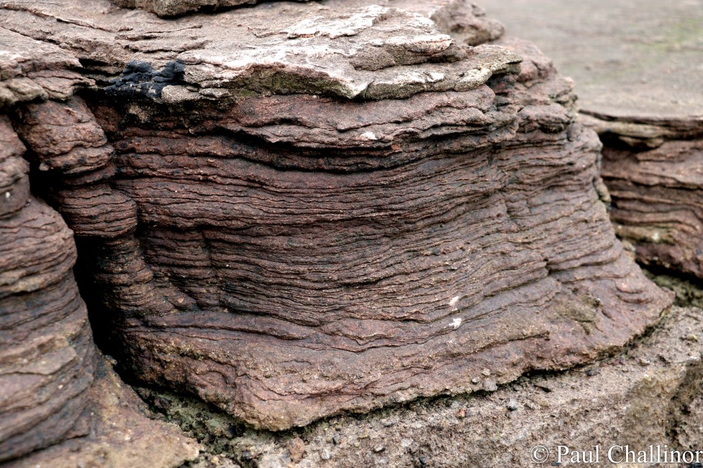 Layers upon layers of silt turned into stone