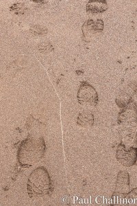 "I'm sure these aren't 220 million years old." Pipes up Aunty.