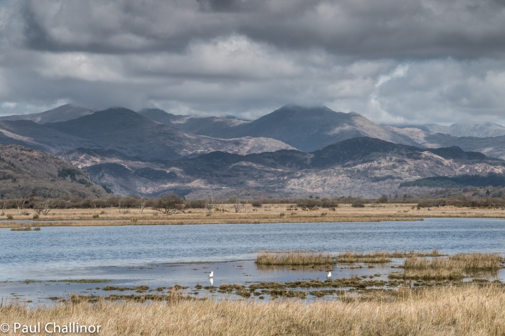 Afon Glaslyn 150404 2