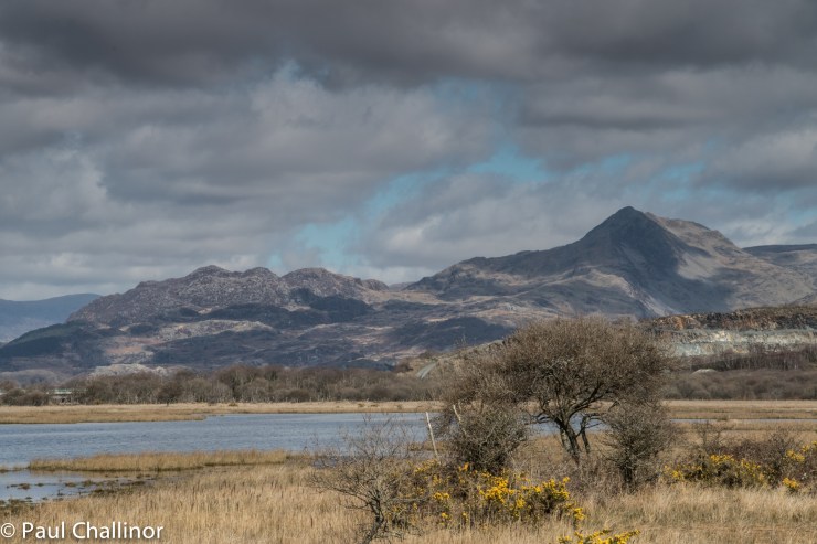 Looking towards Moelwyn Fawr