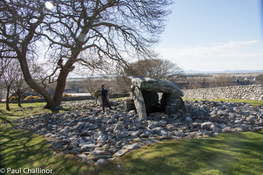 Using Aunty as a measure it's possible to see the size of the timbs. Although not the largest of capstones, the engineering required was still a major uundertaking.