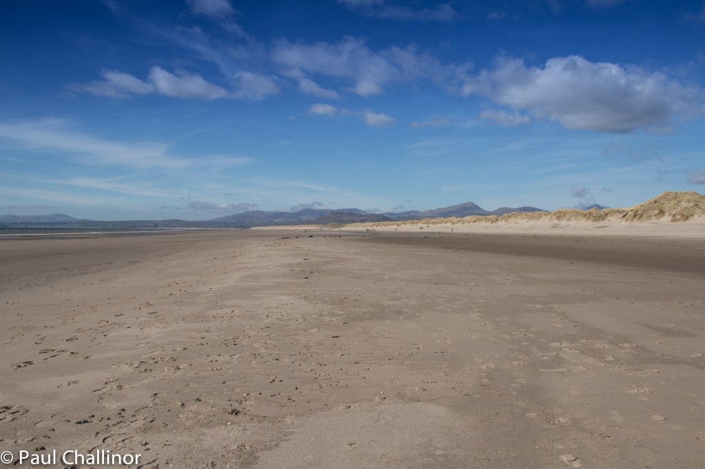 The beach seems to stretch on for ever. The scale can be gauged by the tiny dots that are people in the distance.