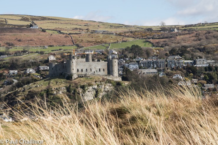 The castle from the beach