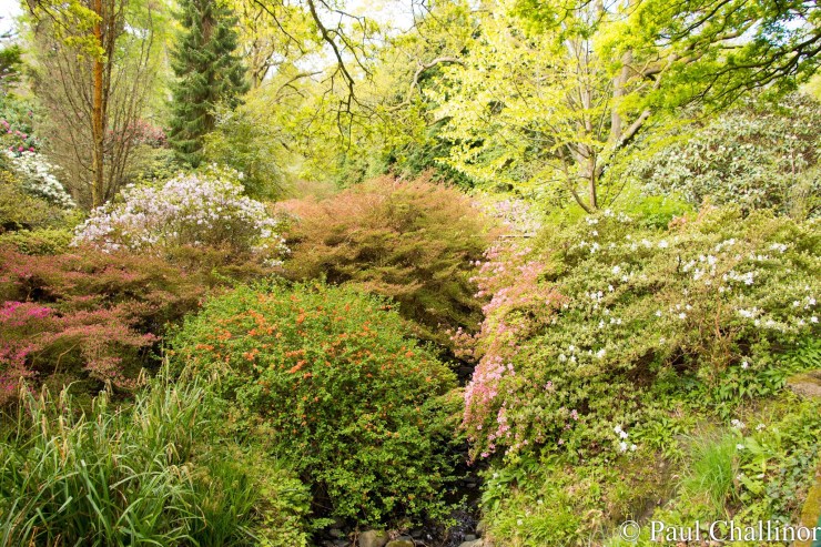 We were a little too early for the full colour show, but there was still plenty to see.