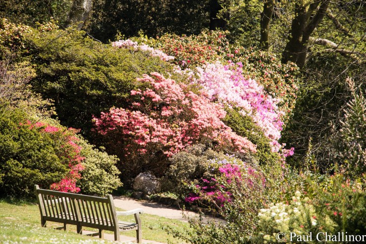 A great place for a cup of coffee. There were plenty of remembrance benches at the  top of the gardens