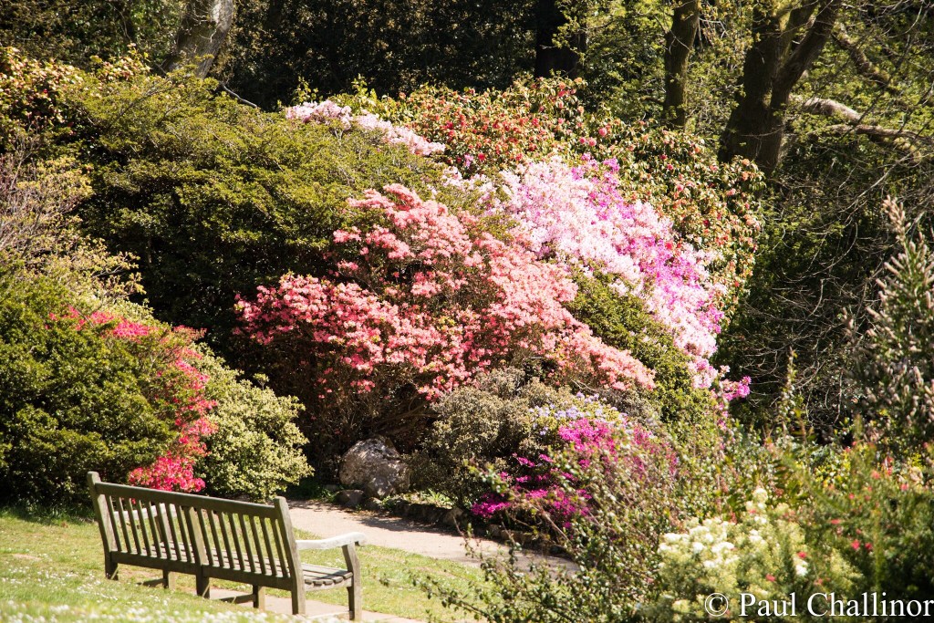 A great place for a cup of coffee. There were plenty of remembrance benches at the top of the gardens
