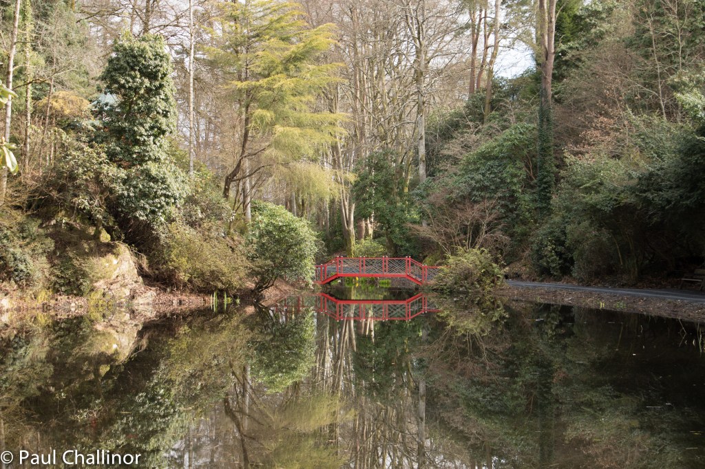 Portmeirion  150404 13