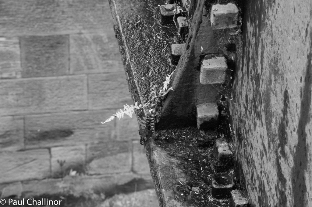 Detail of the water trough holding the water. The joints were originally sealed with Welsh flannel and a mixture of white lead and iron particles from boring waste.