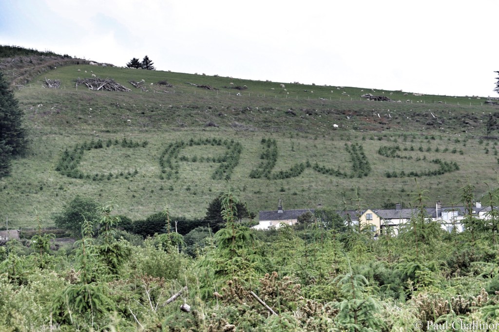 Cheesy Bites. Welsh 100 – No&nbsp;32