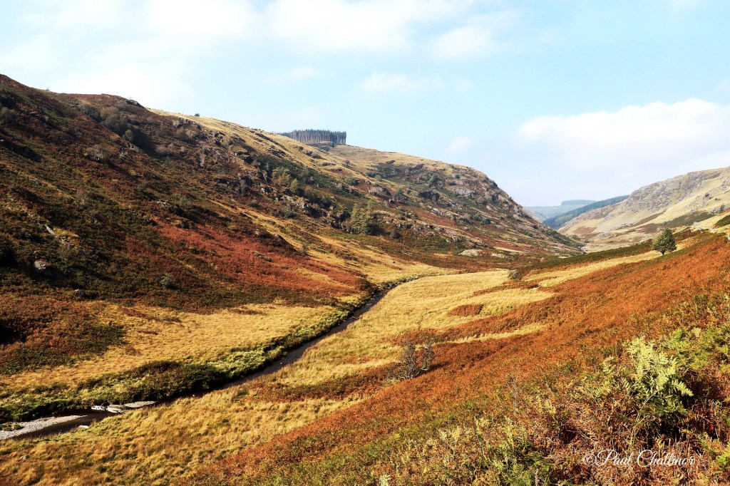 The Old Drovers Road – Welsh 100 No 37