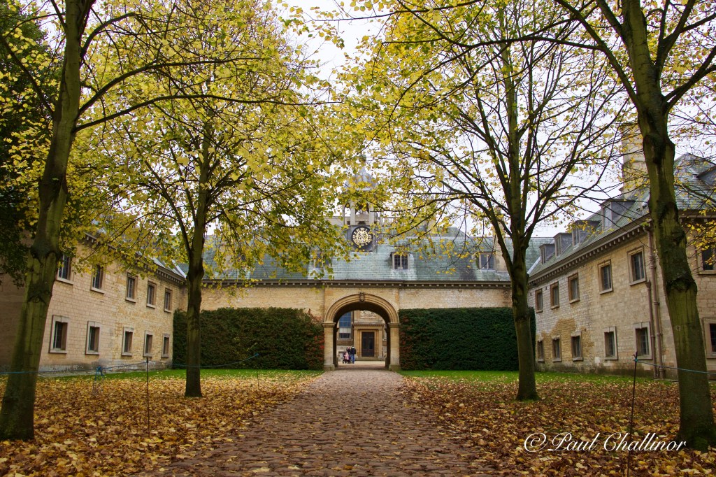 An avenue to trees leading to the clock tower before entering the courtyard.
