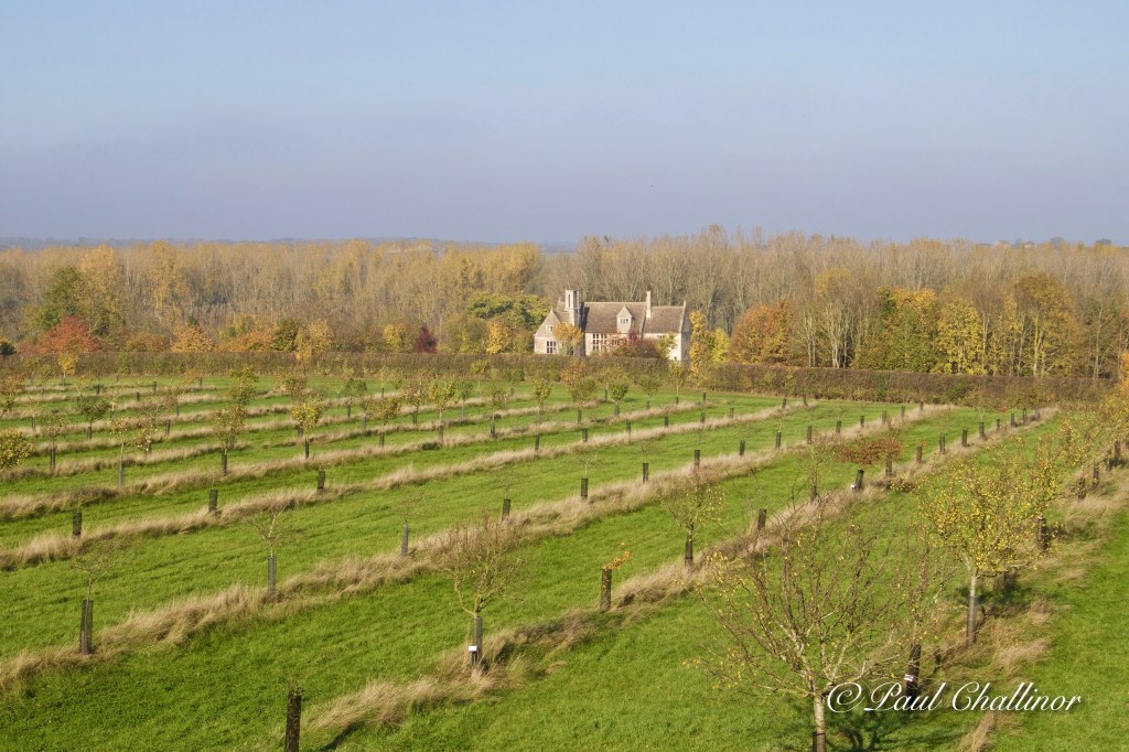 Restored orchards. The planting is based upon archeology. not much left on the trees to munch on though.