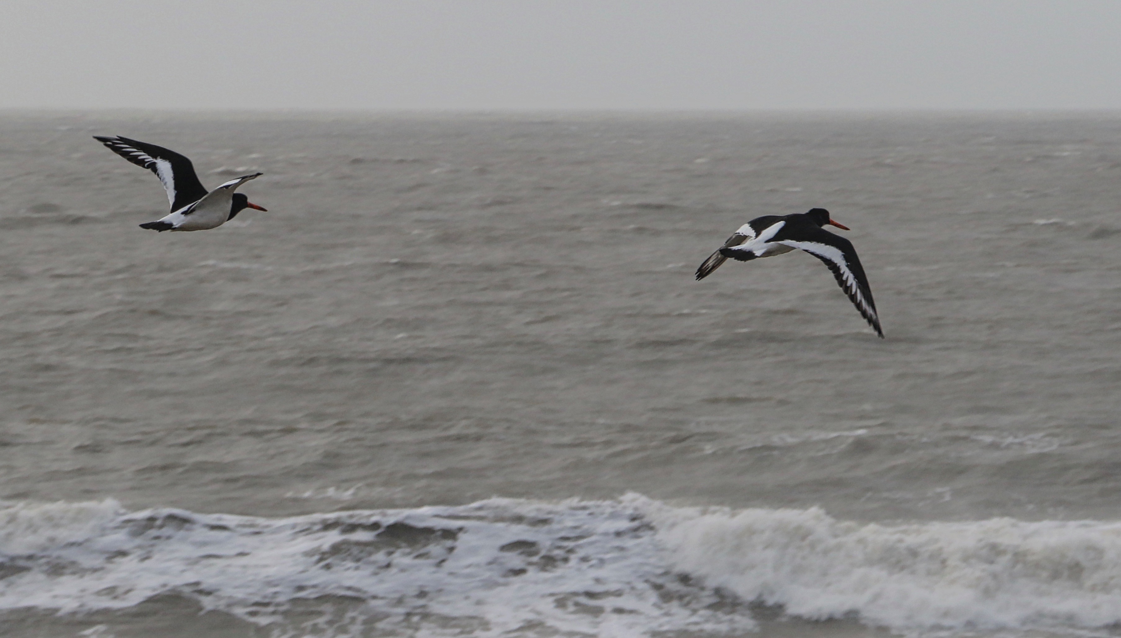 Ogmore to Dunraven Bay