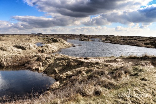 Kenfig Dunes