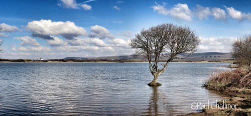 Kenfig Pool