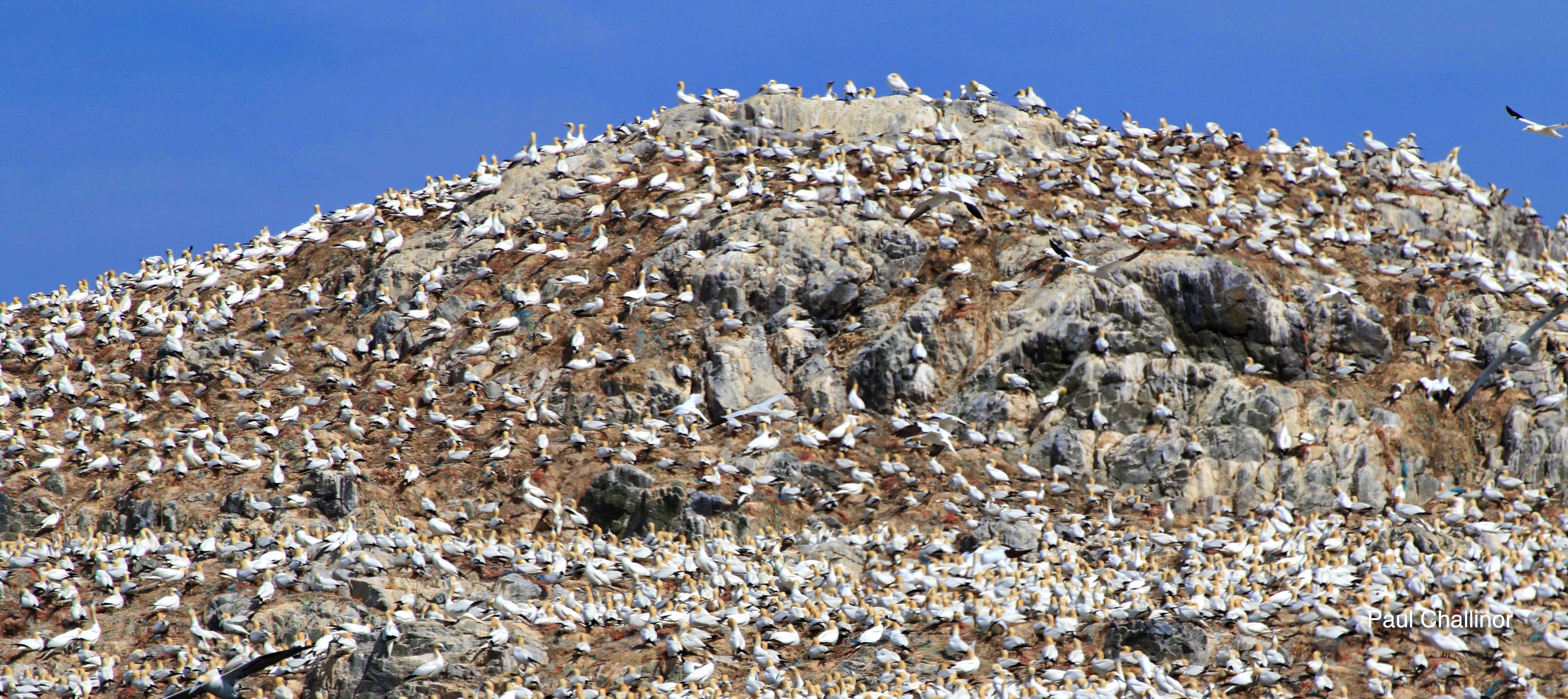 Annual holiday with Paul Swain