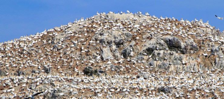 Annual holiday with Paul Swain