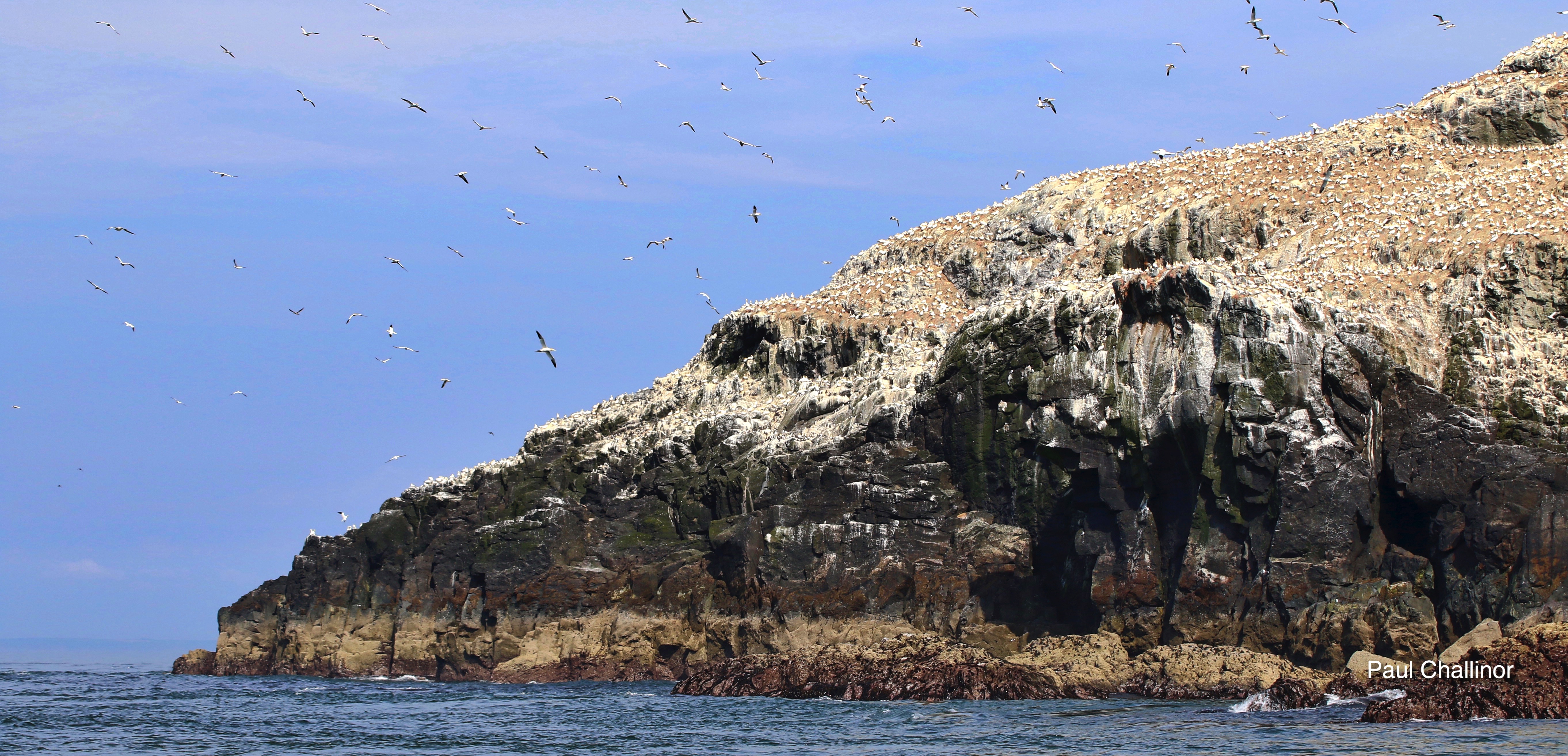 Annual holiday with Paul Swain