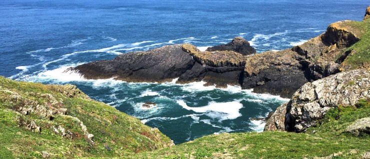 Skomer Island 2016-06