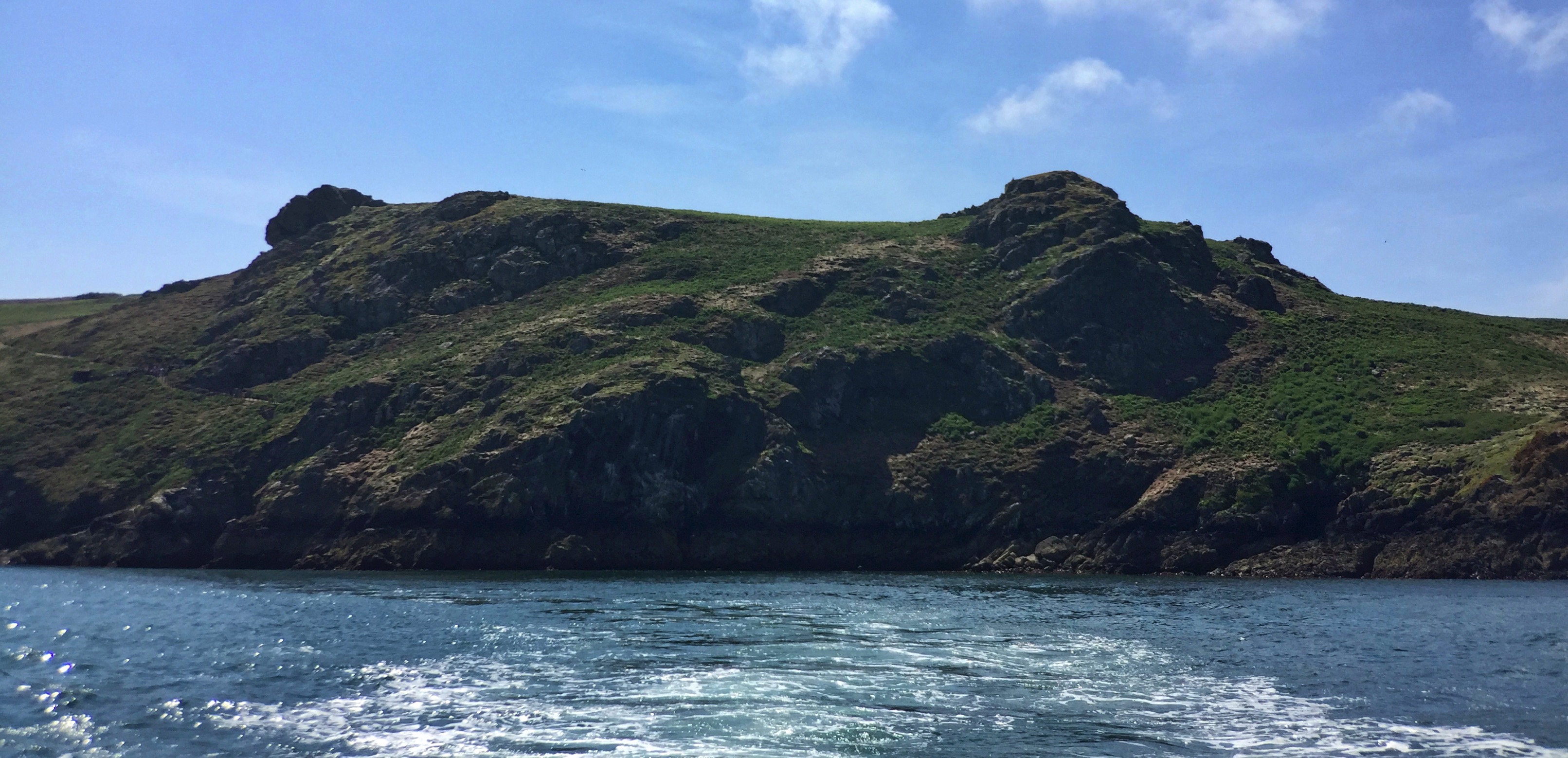Skomer Island 2016-06