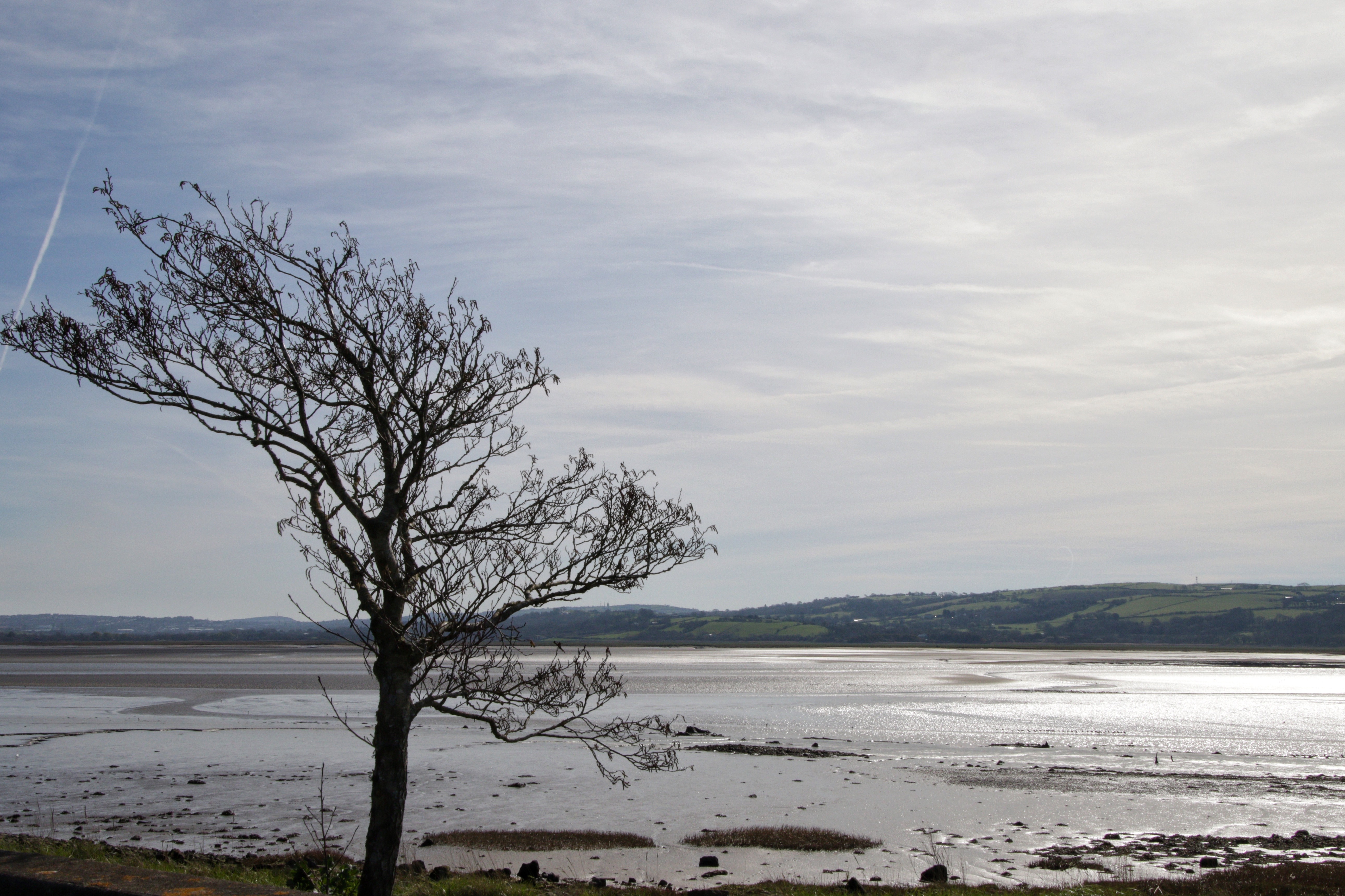 Loughor Estuary 170325