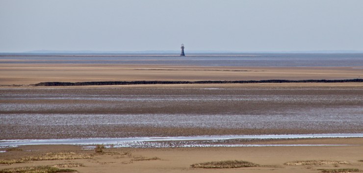 Loughor Estuary 170325