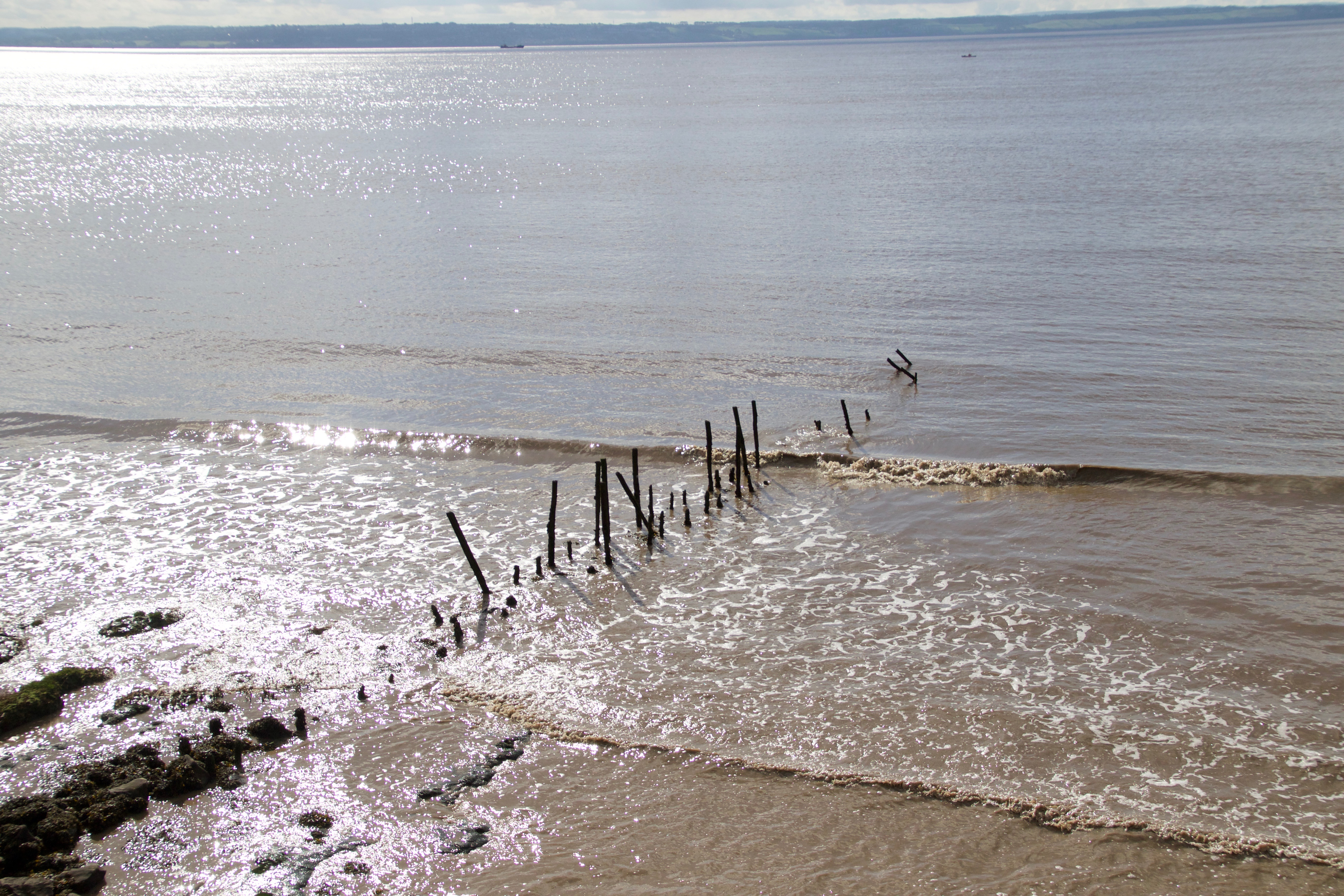 Walk from Redwick to Newport Wetlands. 10 miles, great sunny day.