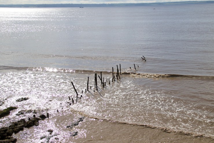Walk from Redwick to Newport Wetlands. 10 miles, great sunny day.