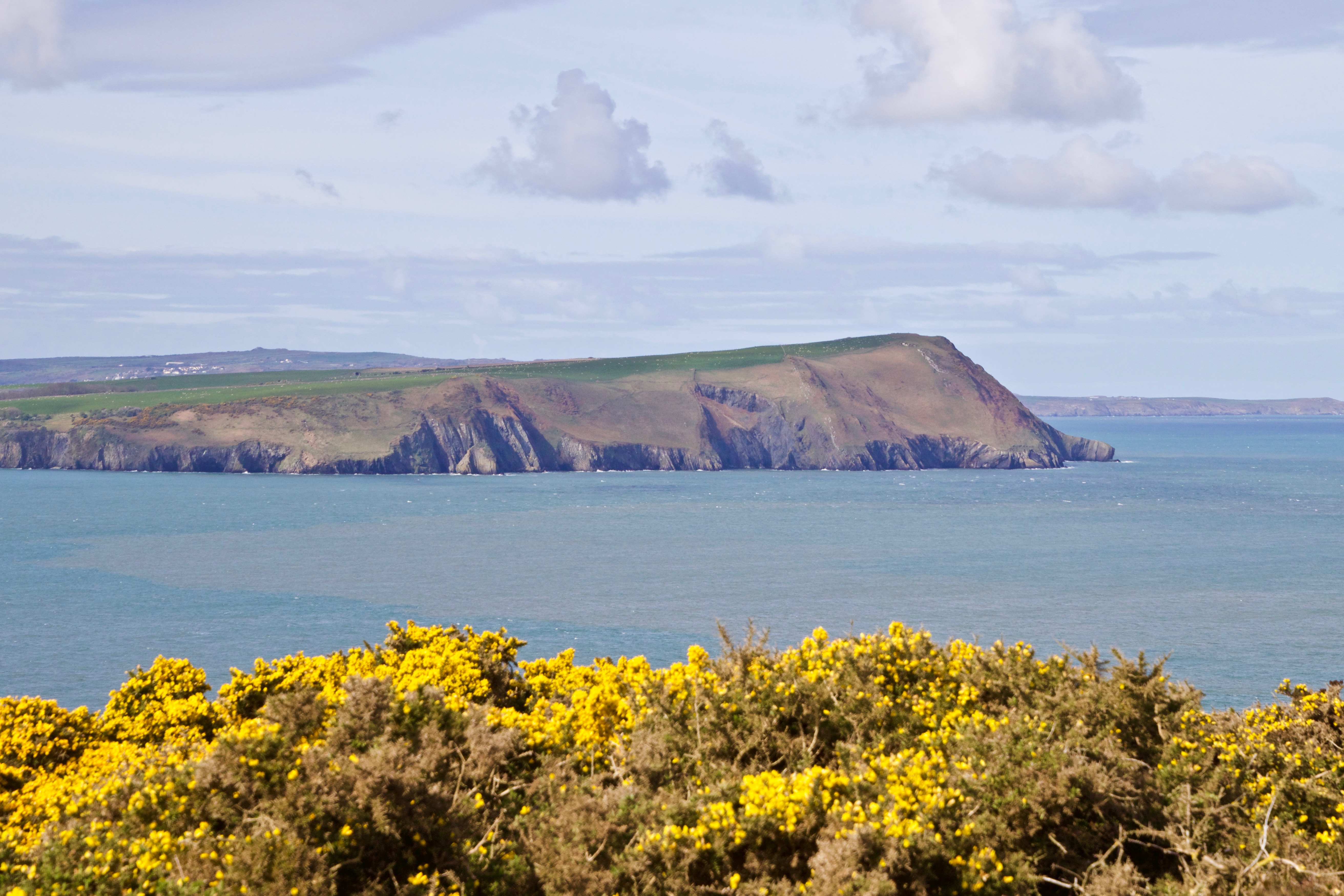 Dinas Head 170415