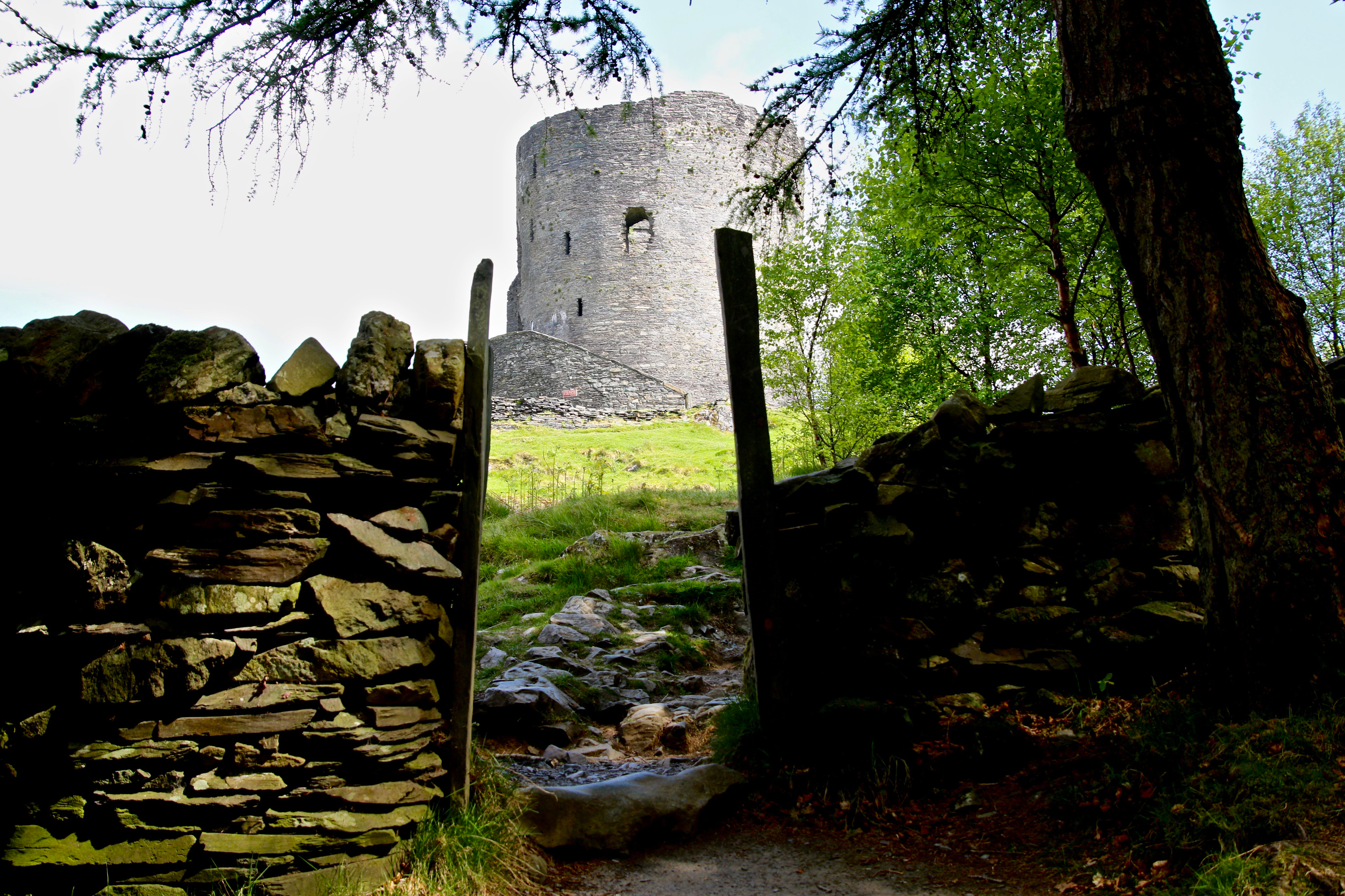 Dolbadarn Castkle 170508