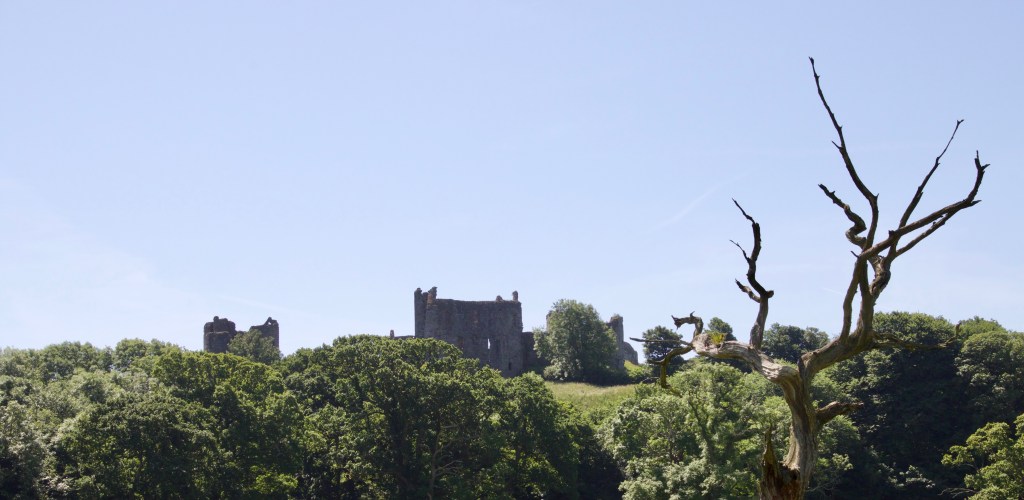A day at the seaside –&nbsp;Llansteffan